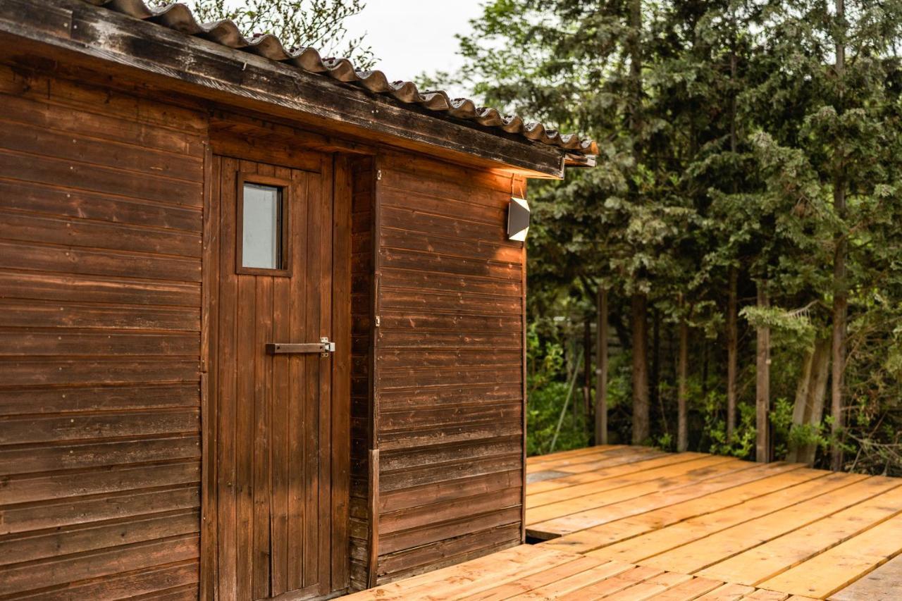 Die Entspannendste Wohnung Am Edersee - Spa Sauna Edertal Exteriér fotografie